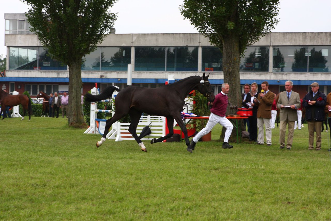 Bild 96 - Elmshorn am 9.6.10